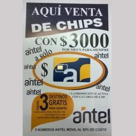 PACK CHIP ANCEL X 10 UNID.